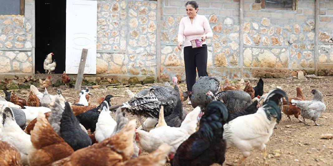 Kamp yapmaya gitti yerleşme kararı aldı: Her şeyi en doğalından elleriyle yapıyor 2